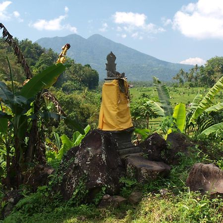 Alamku Bungalow Karangasem Exteriér fotografie