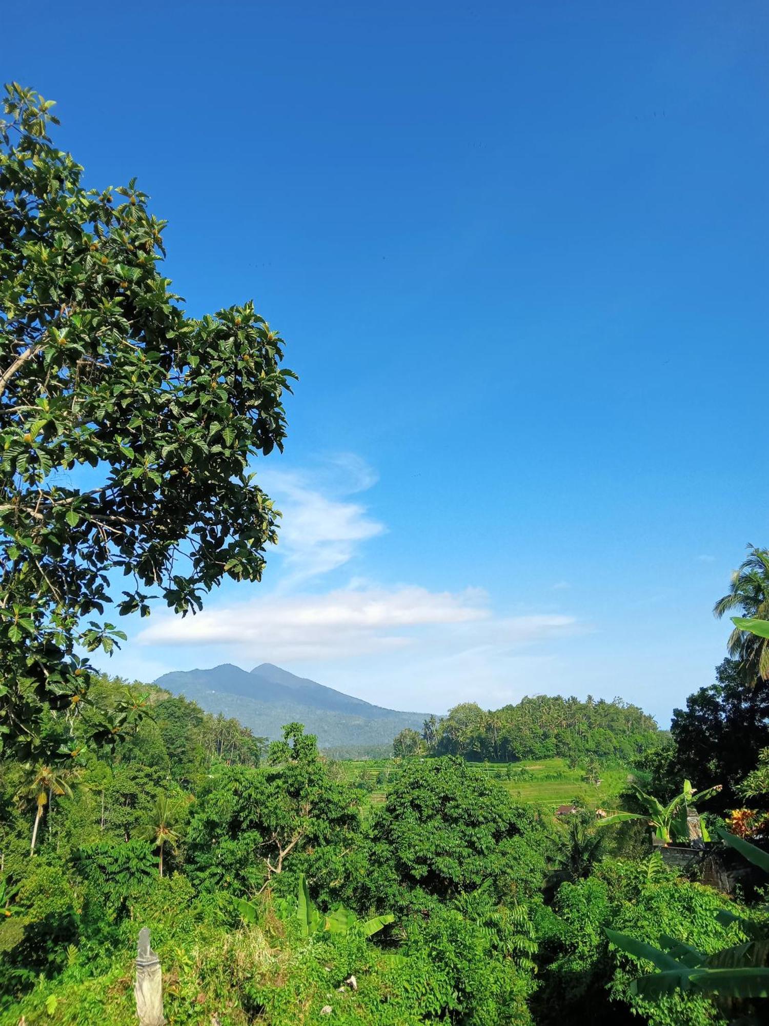 Alamku Bungalow Karangasem Exteriér fotografie