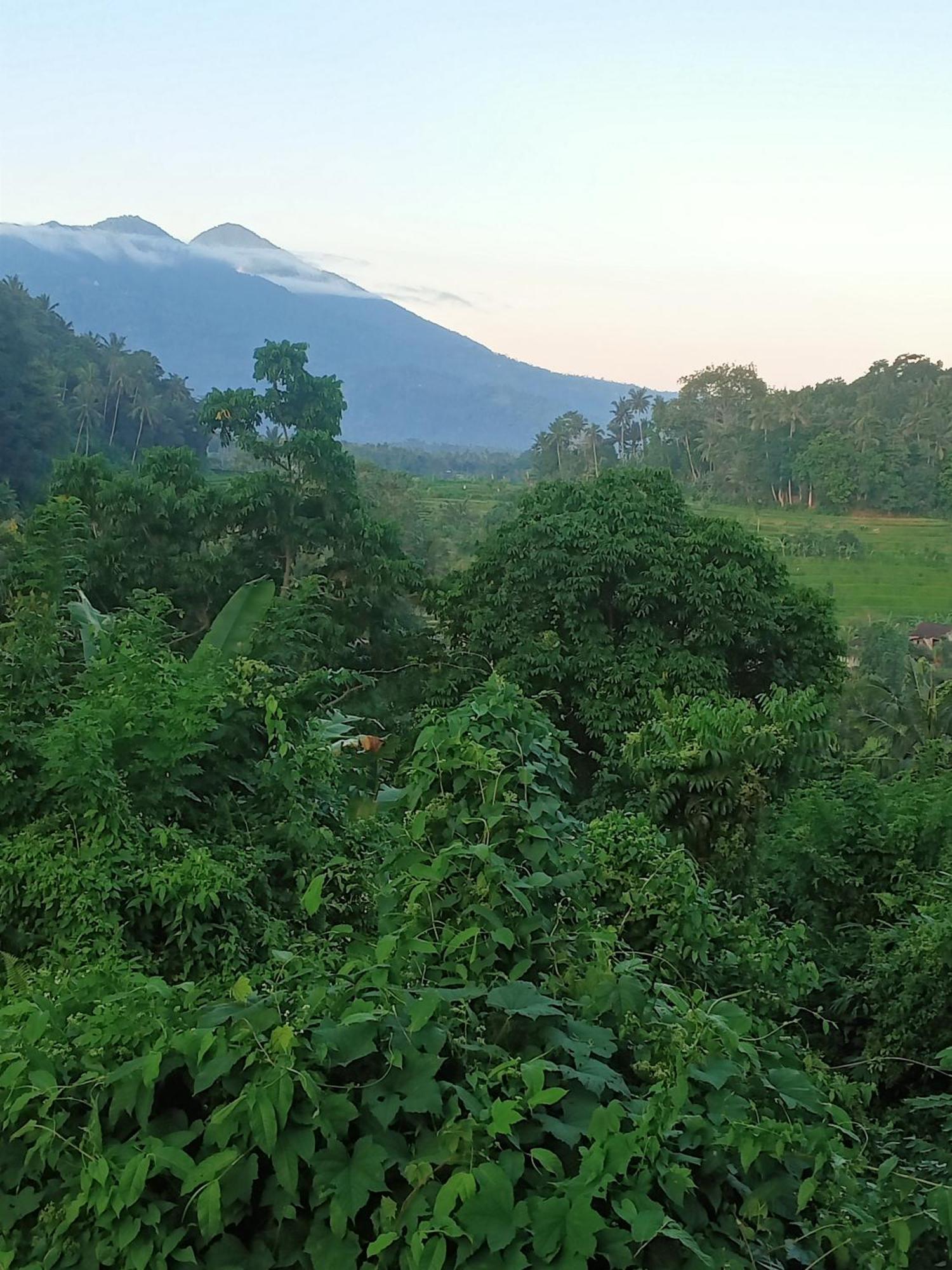 Alamku Bungalow Karangasem Exteriér fotografie